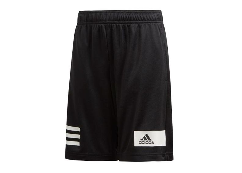 Lasten treenishortsit Adidas Linear Climacool TR Short Junior DV1363 kuvasuurennos