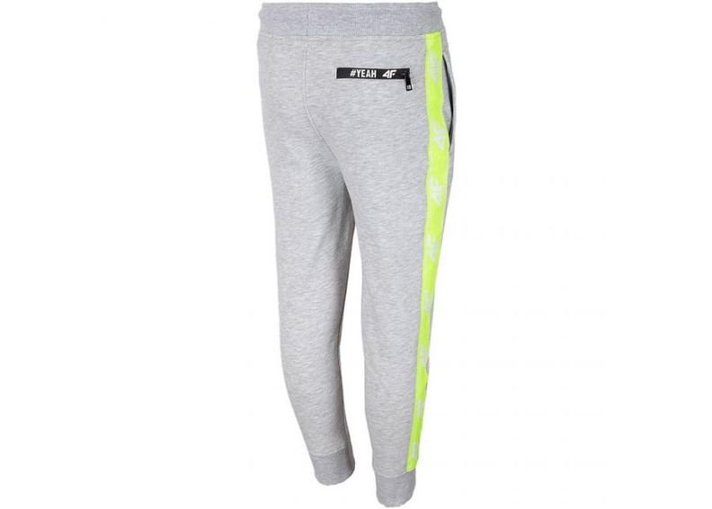 Lasten verryttelyhousut 4F Jr HJL20 JSPMD002 25M kuvasuurennos