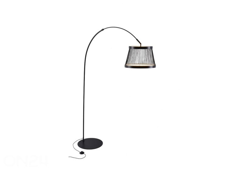 Lattiavalaisin Balu kuvasuurennos