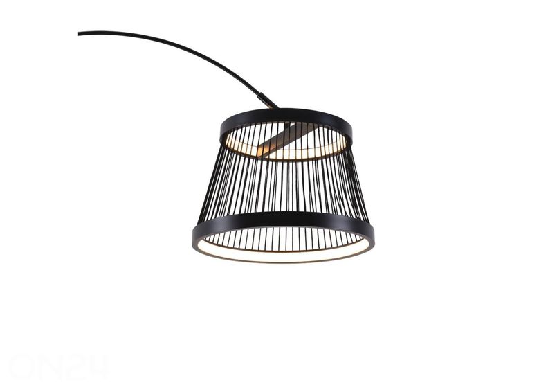 Lattiavalaisin Balu kuvasuurennos