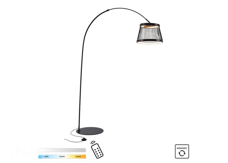 Lattiavalaisin Balu kuvasuurennos