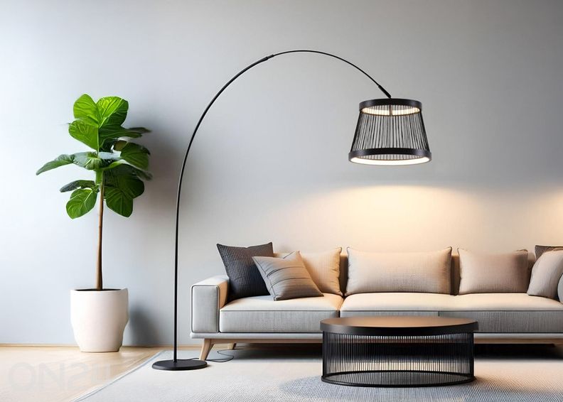 Lattiavalaisin Balu kuvasuurennos