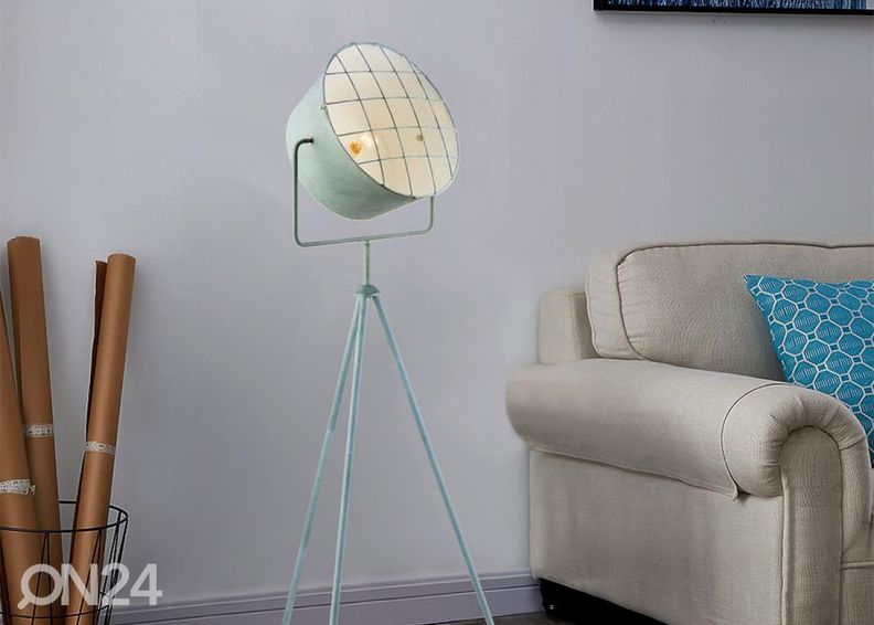 Lattiavalaisin Clemento kuvasuurennos