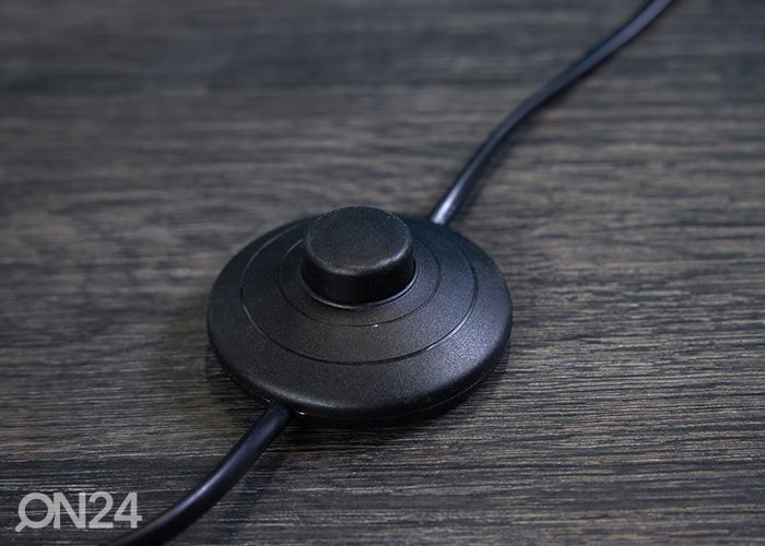 Lattiavalaisin Ginko kuvasuurennos