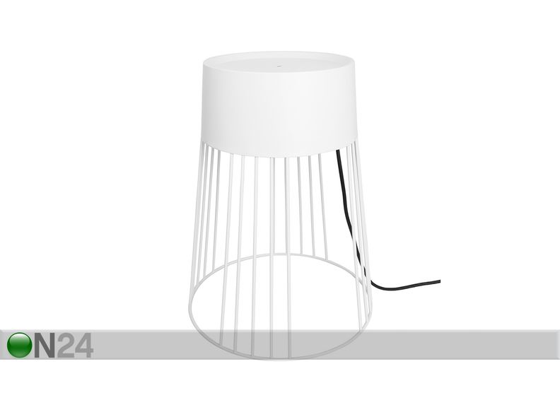 Lattiavalaisin Koster, ulkovalaisin kuvasuurennos