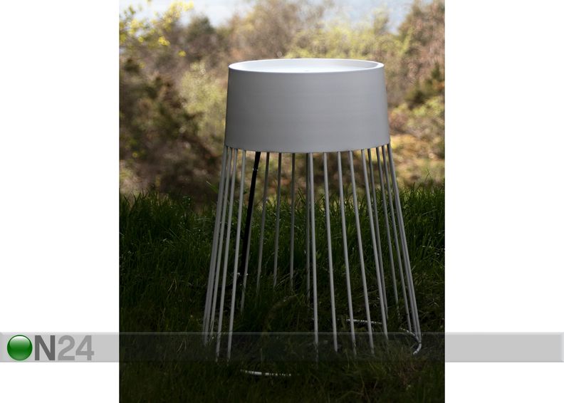 Lattiavalaisin Koster, ulkovalaisin kuvasuurennos