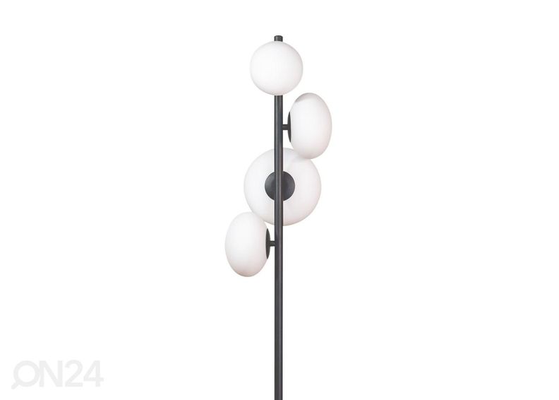 Lattiavalaisin Omi kuvasuurennos