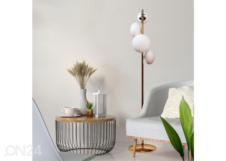 Lattiavalaisin Omi Gold kuvasuurennos