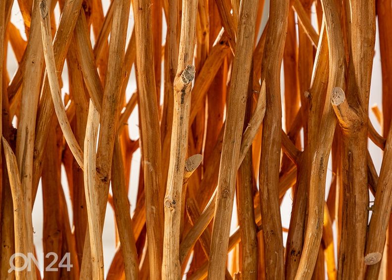 Lattiavalaisin Paravent kuvasuurennos