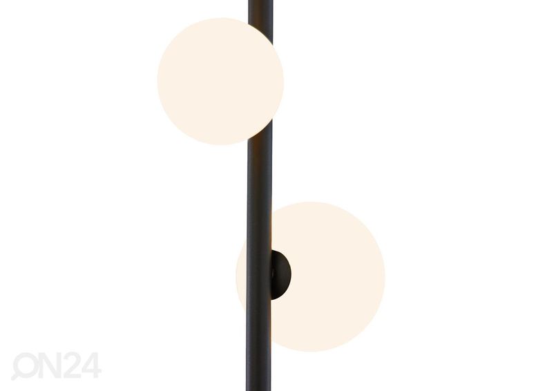 Lattiavalaisin Taida kuvasuurennos