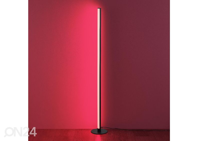 Lattiavalaisin Tendo kuvasuurennos