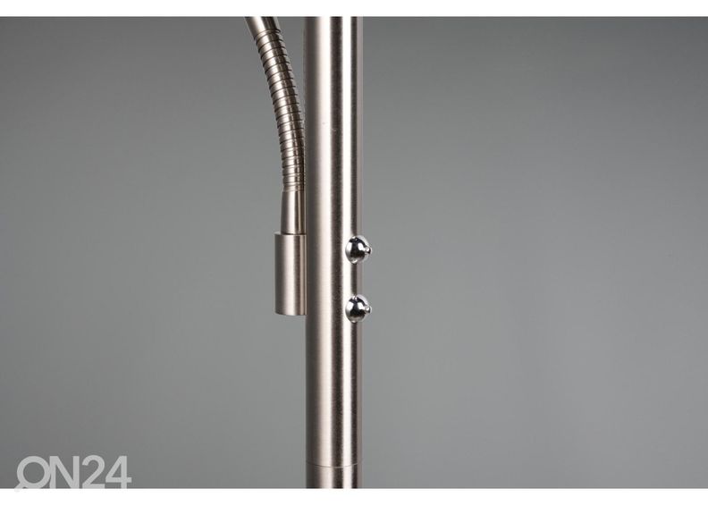 Lattiavalaisin Willis kuvasuurennos