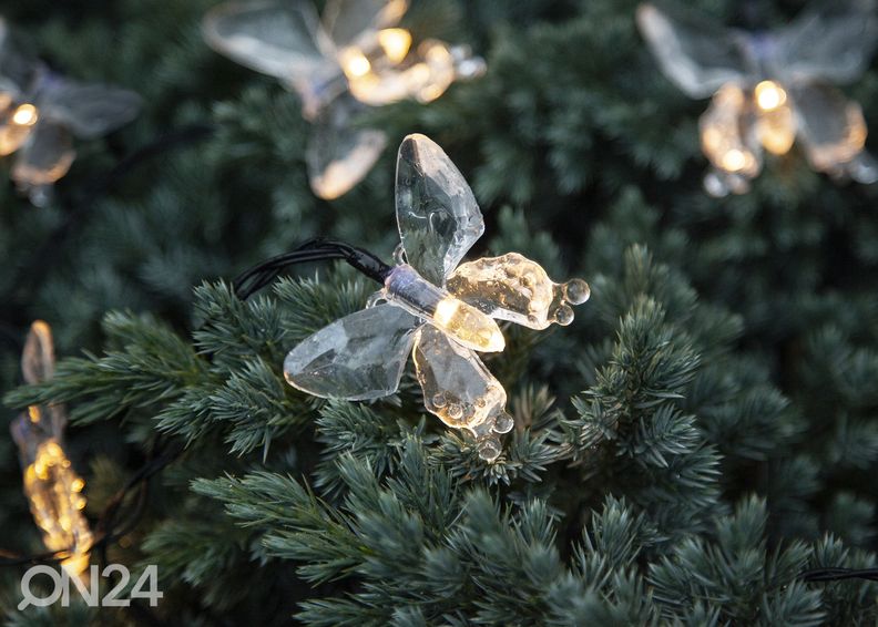LED valonauha aurinkokennolla Papillon kuvasuurennos
