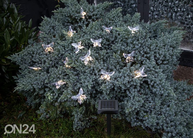 LED valonauha aurinkokennolla Papillon kuvasuurennos