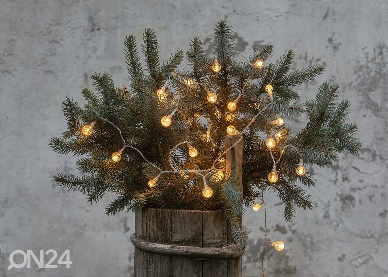 LED valonauha Berry kuvasuurennos