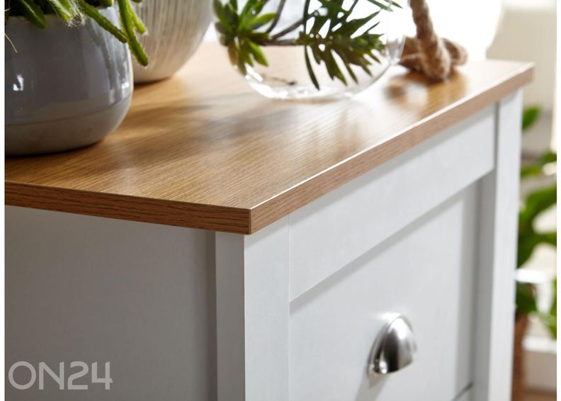 Lipasto 53 cm kuvasuurennos