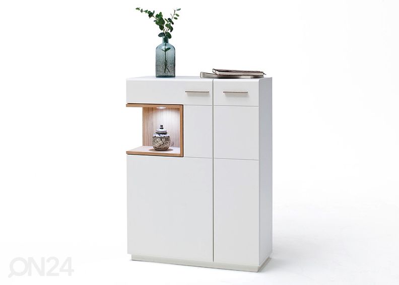 Lipasto Cesina R kuvasuurennos