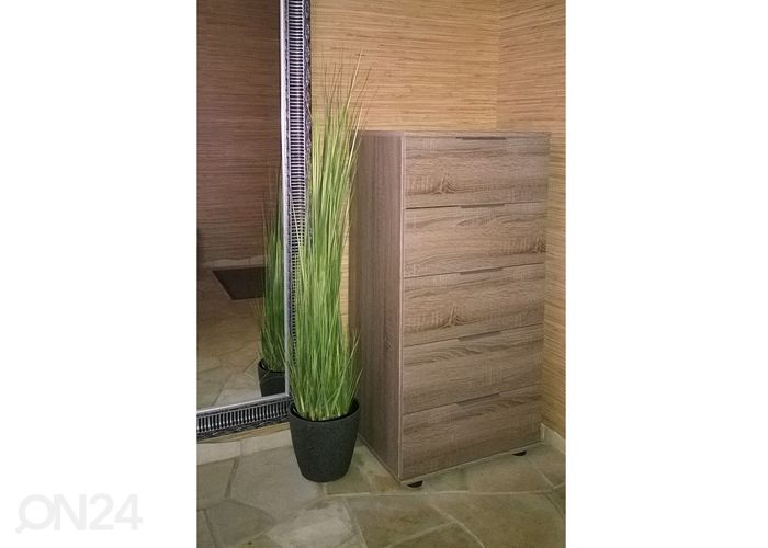 Lipasto Easy Plus kuvasuurennos