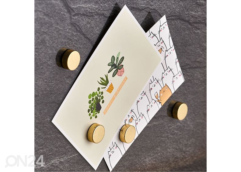 Magneetit 4 kpl kuvasuurennos