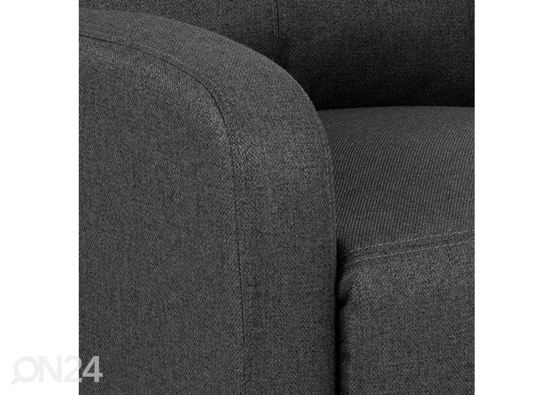 Mekanismituoli Savia kuvasuurennos