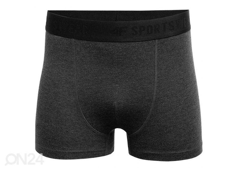 Miesten bokserit 4F 2 paria kuvasuurennos