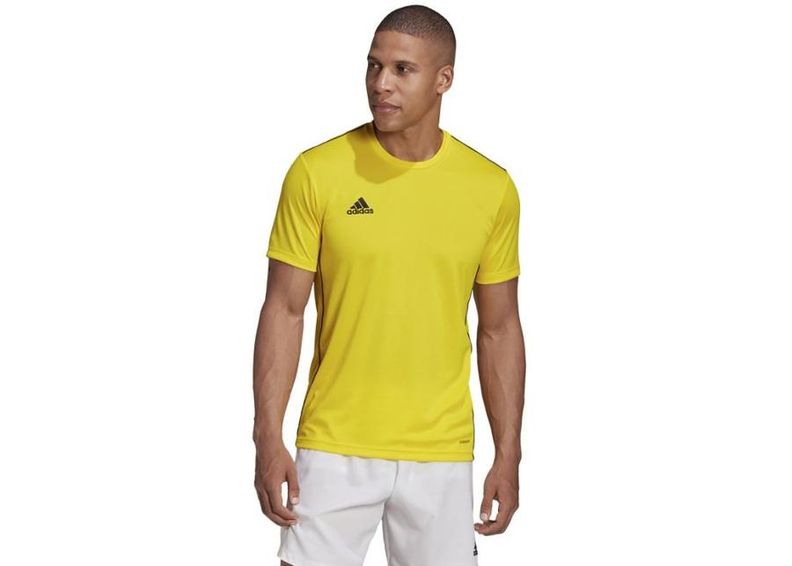 Miesten jalkapallopaita Adidas Polo Core 18 M FS1905 kuvasuurennos