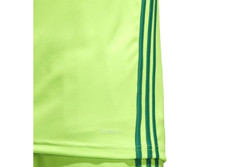 Miesten jalkapallopaita Adidas Regista 18 Jersey M CE8973 kuvasuurennos