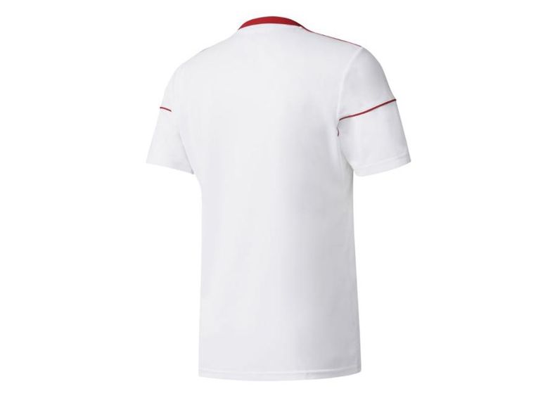 Miesten jalkapallopaita Adidas Squadra 17 M BJ9181 kuvasuurennos