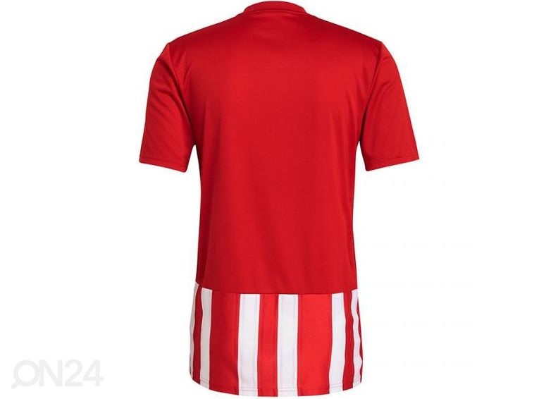 Miesten jalkapallopaita Adidas Striped 21 Jersey kuvasuurennos