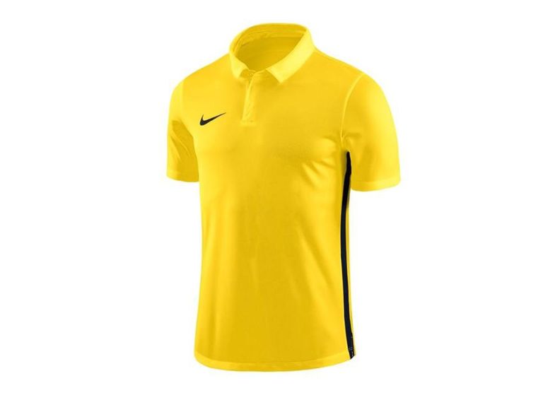 Miesten jalkapallopaita Nike Dry Academy 18 Polo M 899984-719 kuvasuurennos