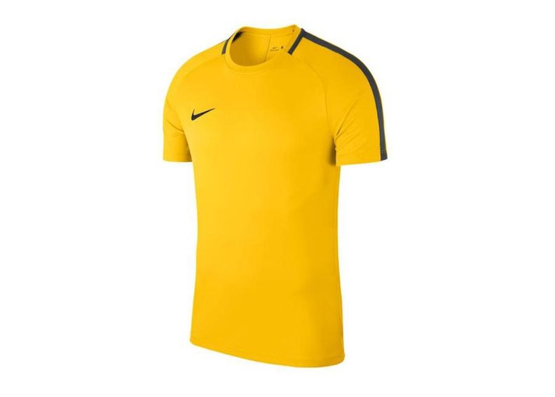 Miesten jalkapallopaita Nike Dry Academy 18 Top M 893693-719 kuvasuurennos