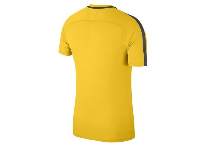 Miesten jalkapallopaita Nike Dry Academy 18 Top M 893693-719 kuvasuurennos