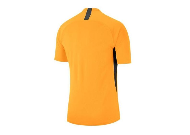 Miesten jalkapallopaita Nike Legend SS Jersey M AJ0998-739 kuvasuurennos