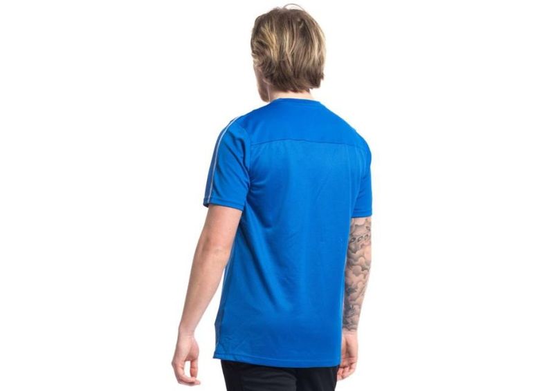 Miesten jalkapallopaita Nike M NK Dry Park 18 SS Top M AA2046-463 kuvasuurennos