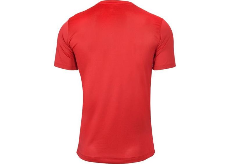 Miesten jalkapallopaita Nike Striped Division II M 725893-657 kuvasuurennos