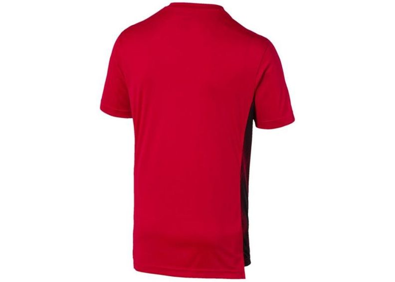Miesten jalkapallopaita Puma AC Milano Stadium Jersey 756140 01 kuvasuurennos