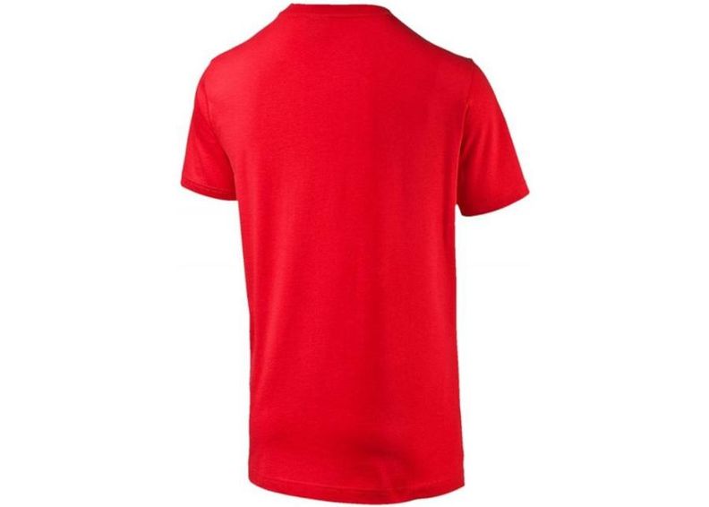 Miesten jalkapallopaita Puma Arsenal Football Club Fan Tee M 749297011 kuvasuurennos