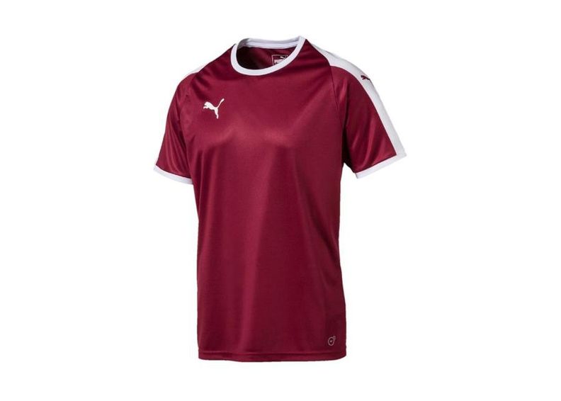 Miesten jalkapallopaita Puma LIGA Jersey M 703417 09 kuvasuurennos