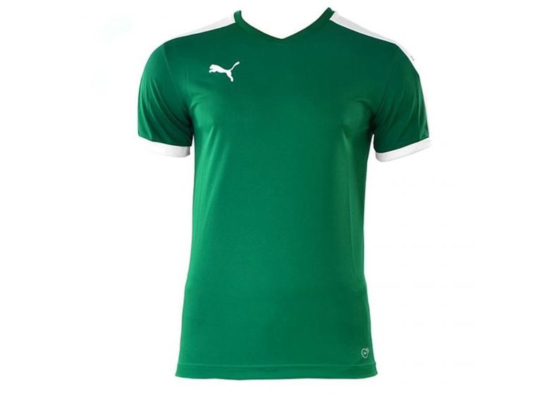 Miesten jalkapallopaita Puma SMU Playing 702557 05 kuvasuurennos