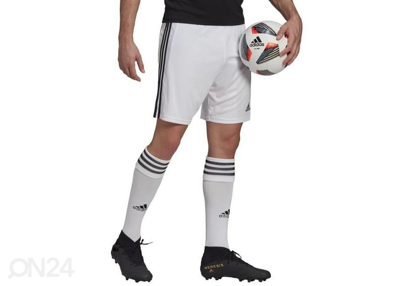 Miesten jalkapalloshortsit Adidas Squadra 21 Short kuvasuurennos