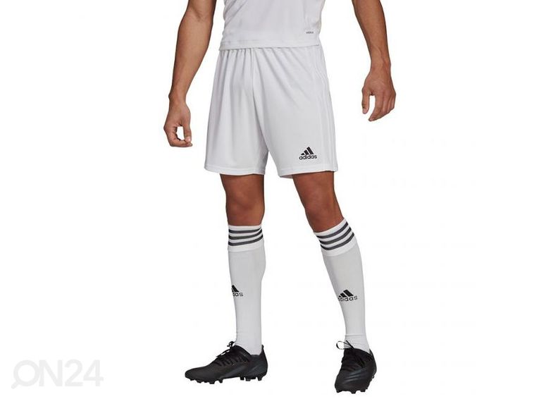 Miesten jalkapalloshortsit Adidas Squadra 21 Short kuvasuurennos