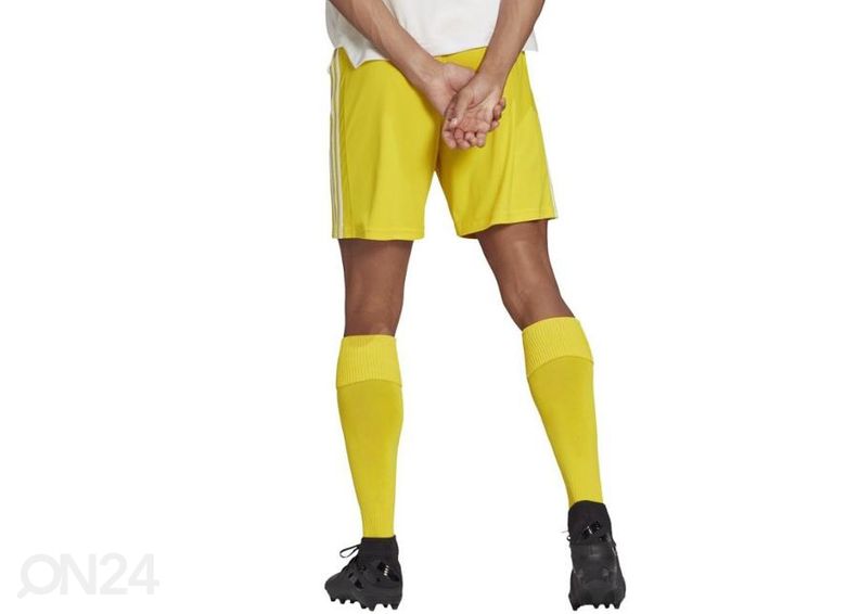 Miesten jalkapalloshortsit Adidas Squadra 21 Short M GN5772 kuvasuurennos