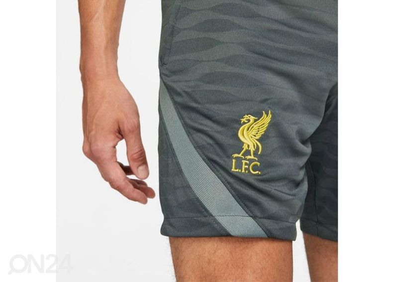 Miesten jalkapalloshortsit Nike Liverpool FC Strike M DB6940 064 kuvasuurennos