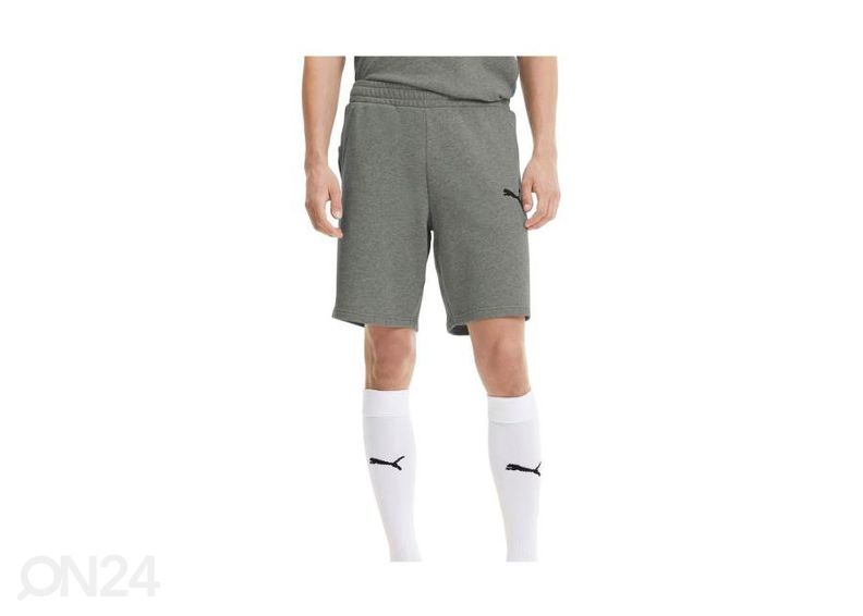 Miesten jalkapalloshortsit Puma teamGoal23 Casuals kuvasuurennos