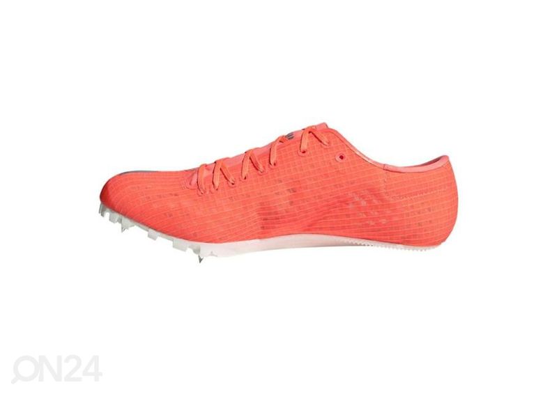 Miesten juoksukengät Adidas Adizero Finesse Spikes kuvasuurennos