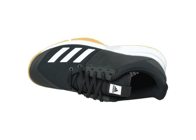Miesten lentopallokengät adidas Crazyflight Team M D97701 kuvasuurennos