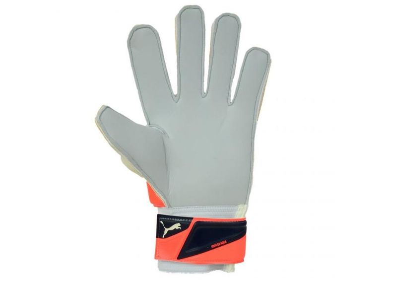 Miesten maalivahdin hanskat Puma Evo Power Grip 2 Aqua 41145 30 kuvasuurennos