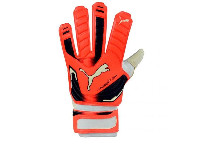 Miesten maalivahdin hanskat Puma Evo Power Grip 2 Aqua 41145 30 kuvasuurennos