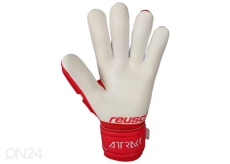 Miesten maalivahdin hanskat Reusch Attrakt Freegel Silver kuvasuurennos