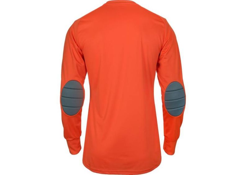 Miesten maalivahdin paita Adidas Assita 17 M AZ5398 kuvasuurennos